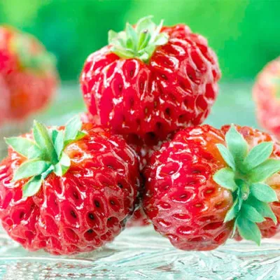 Малиника Framberry (Уникальные плоды) фото