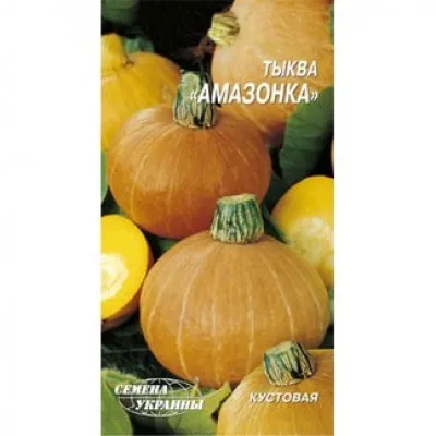 Тыква Амазонка фото