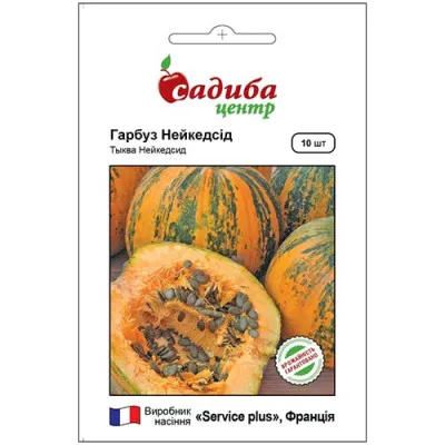 Тыква Нейкедсид фото