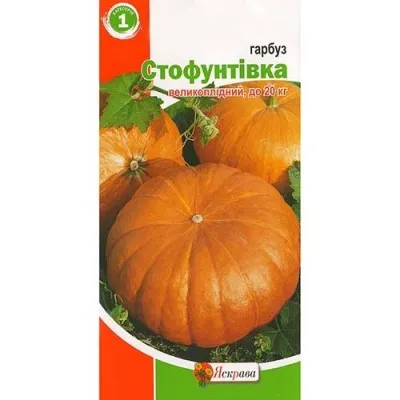 Тыква Стофунтовка фото