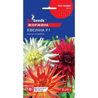 Георгина Эвелина F1 фото