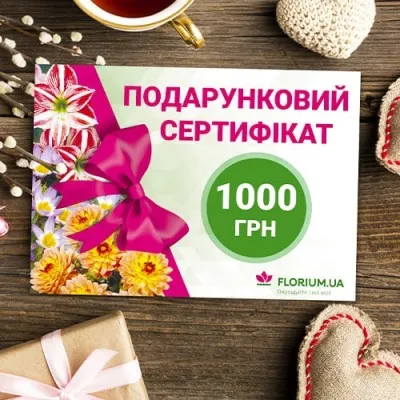1000 грн - подарочный сертификат фото