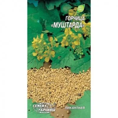 Горчица Муштарда фото
