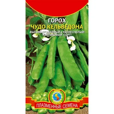 Горох Кельведонское Чудо фото