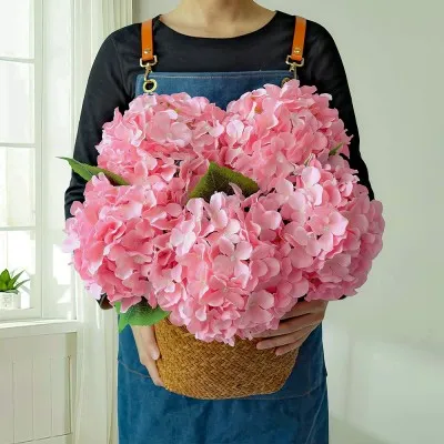 Гортензия Silky Pink фото