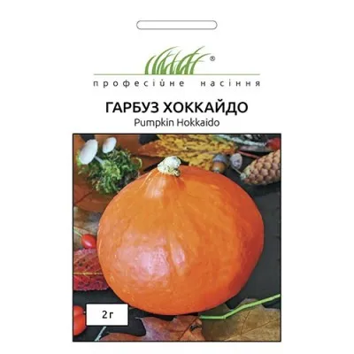 Тыква Хоккайдо фото