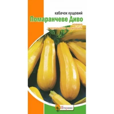 Кабачок Оранжевое Чудо фото
