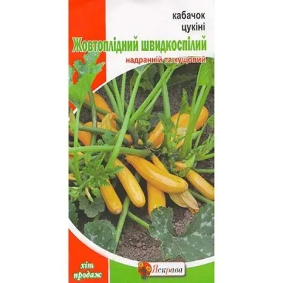 Кабачок Желтоплодный фото
