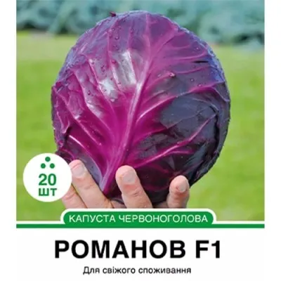 Капуста Краснокочанная Романов F1, среднеспелая фото
