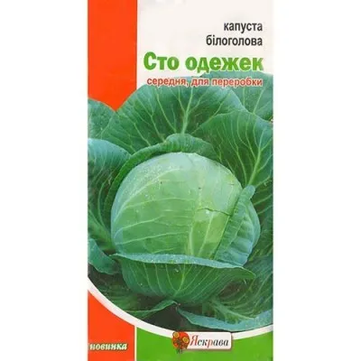 Капуста Белокочанная Сто одежек фото