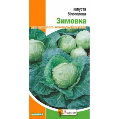 Капуста белокочанная Зимовка фото
