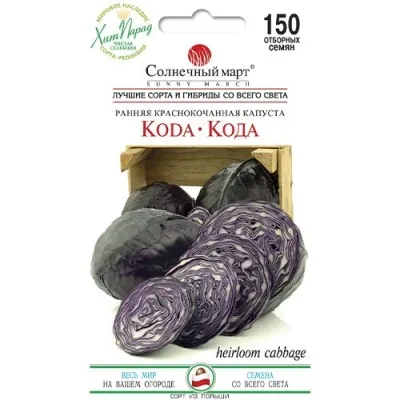 Капуста краснокочанная Кода фото