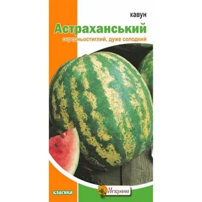 Арбуз Астраханский фото