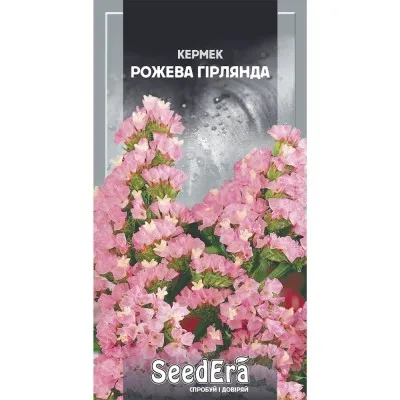 Кермек Выемчатый Розовая Гирлянда фото