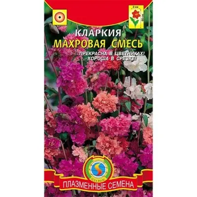 Кларкия махровая смесь фото