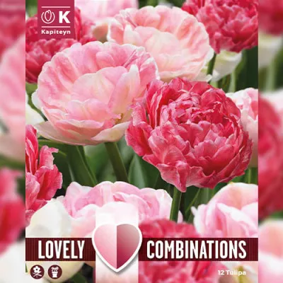 Комбо Тюльпаны Duopack Sweet Pink Mix фото
