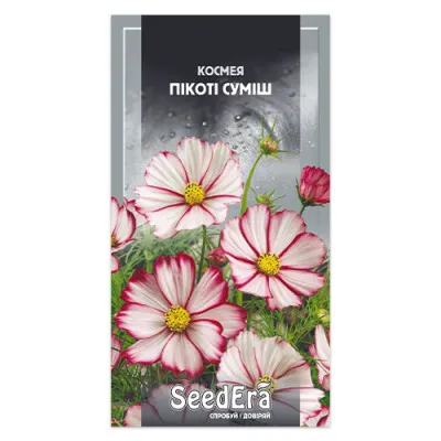 Космея Пикоти смесь фото