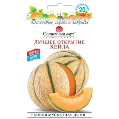 Дыня Лучшее открытие Хейла фото