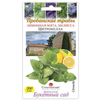 Мелисса Цитронелла фото