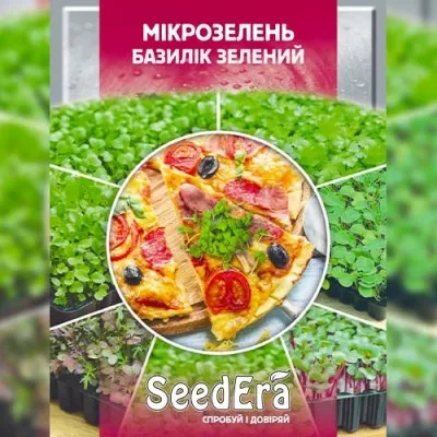 Микрозелень Базилик зеленый фото