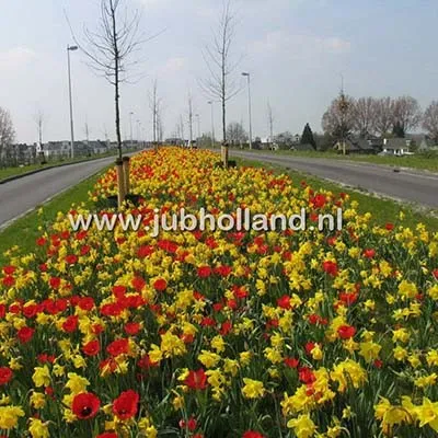 Микс ландшафтный Arnhem фото