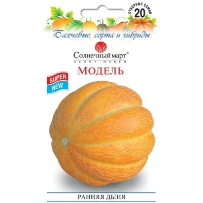 Дыня Модель фото