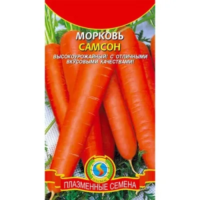 Морковь Самсон фото