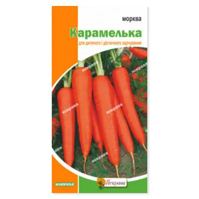Морковь Карамелька фото