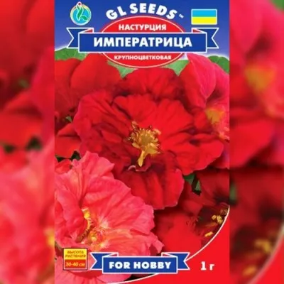 Настурция Императрица фото
