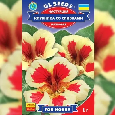Настурция Клубника со сливками фото