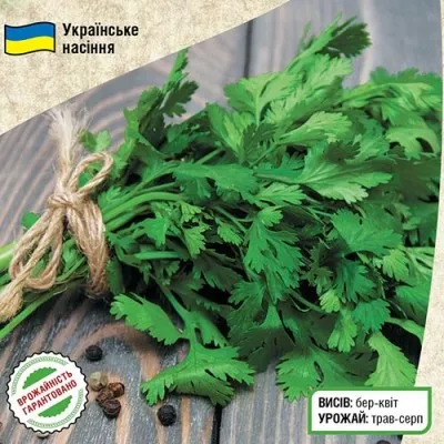 Кориандр Нектар фото