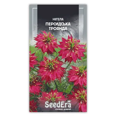 Нигела Персидская роза фото
