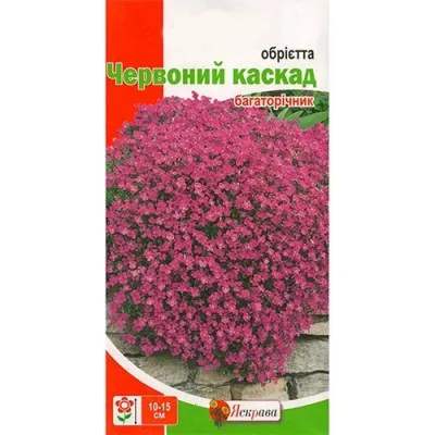 Обриета Красный каскад фото