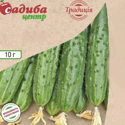 Огурец Феникс 640 фото