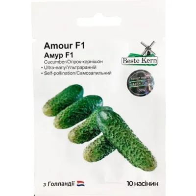 Огурец Амур F1, ТМ Beste Kern фото