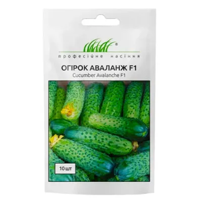 Огурец Аваланж фото