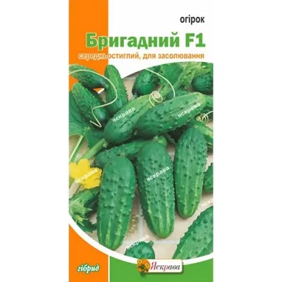 Огурец Бригадный F1 фото