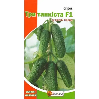 Огурец Три танкиста F1 фото