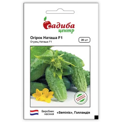 Огурец Наташа F1 фото