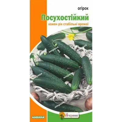 Огурец Засухоустойчивый фото
