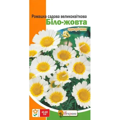 Ромашка садовая большая бело-желтая 0,3г фото
