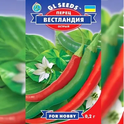 Перец острый Вестландия фото