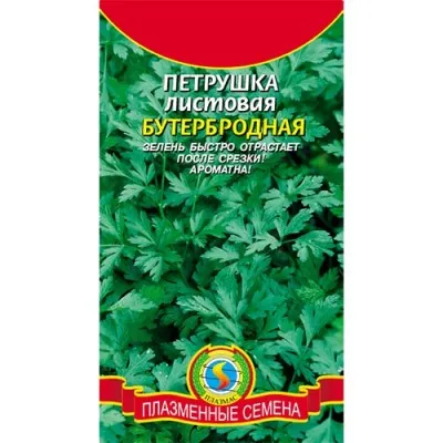 Петрушка Бутербродная фото