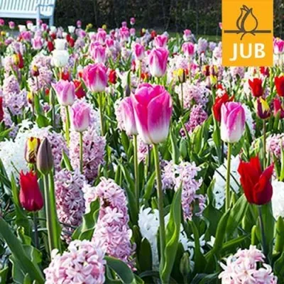 Микс ландшафтный Pink Relevation (Брендовые луковицы Jub Holland) фото