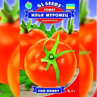 Томат Илья Муромец фото