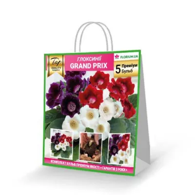 Премиум глоксинии Grand Prix фото