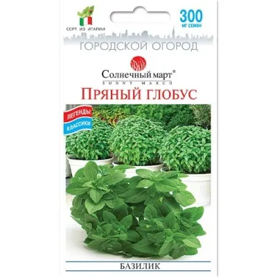 Базилик Пряный глобус фото