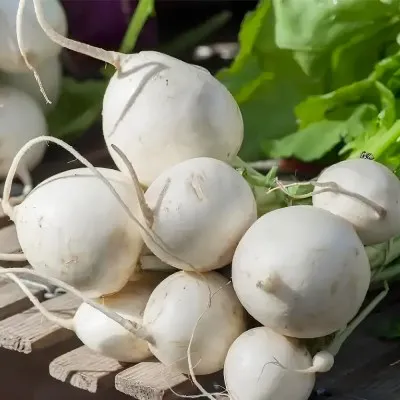Репа Снежный шар фото