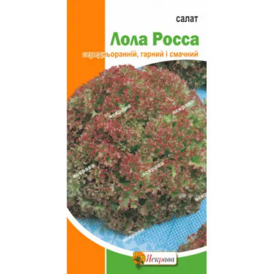 Салат Лолла Росса 1г фото