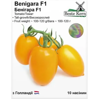 Томат Бенигара (KS 1430) F1, ТМ Beste Kern фото